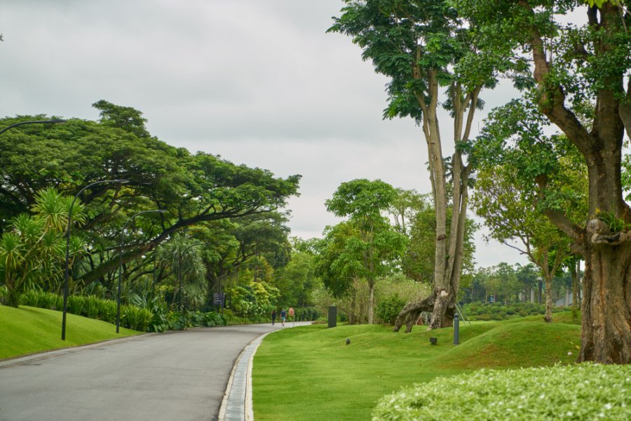 Greenery Of Godrej Zenith 89 Gurgaon